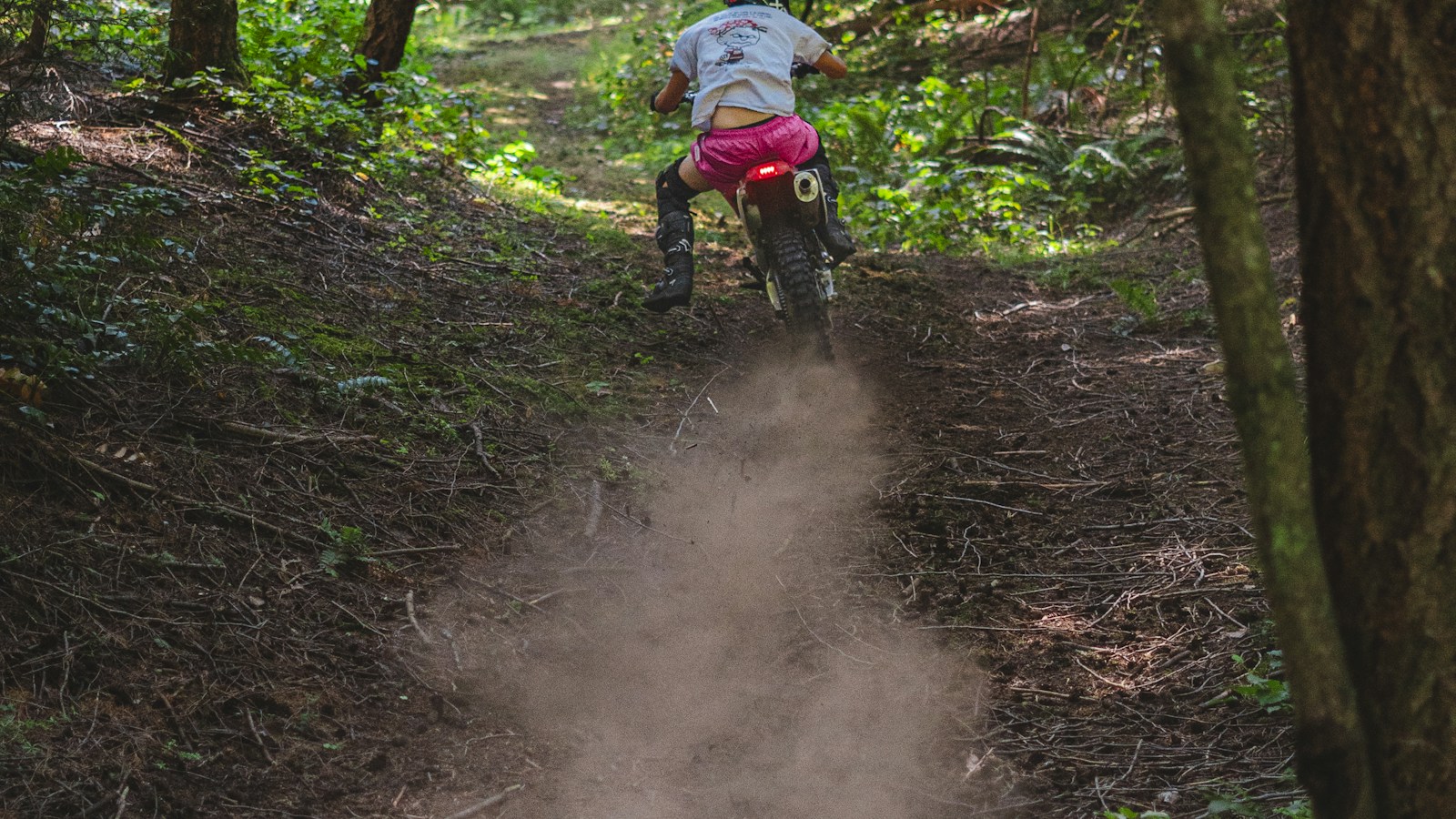 Dirt bike rider on a forest singletrack trail through dense woods — thematic trail-reopen terrain